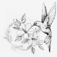 Lisouille3107