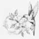 Lisouille3107